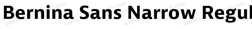 Bernina Sans Narrow Regular字体转换
